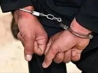 علت بازداشت شهردار صالحیه تهران چه بود؟ 