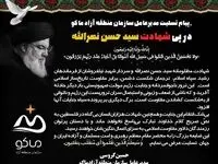 پیام تسلیت مدیرعامل سازمان منطقه آزاد ماکو به مناسبت شهادت سید حسن نصرالله