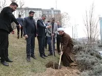 کاشت نهال درخت به مناسبت روز درختکاری توسط مدیران و کارکنان هلدینگ صباانرژی

