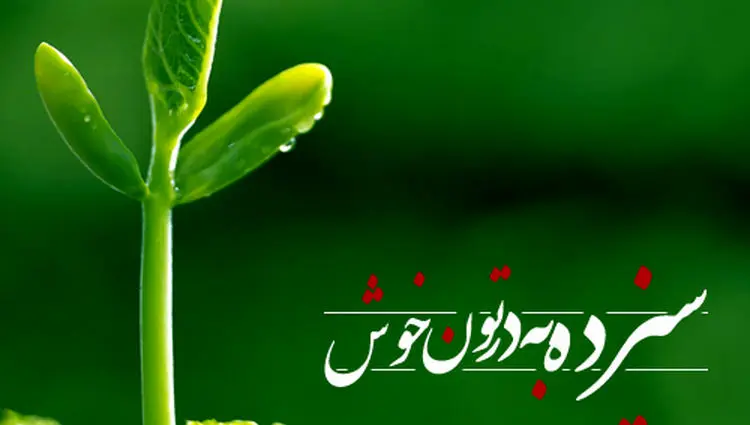 پیام تبریک سیزده بدر ۱۴۰۵ چی بفرستیم؟ | لیست پیام تبریک سیزده بدر