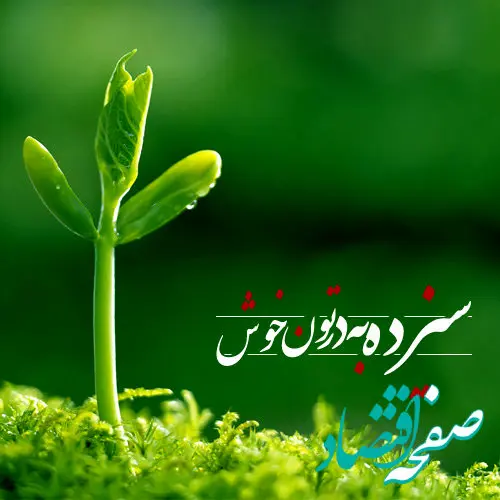 پیام تبریک سیزده بدر چی بفرستیم؟ | لیست پیام تبریک سیزده بدر