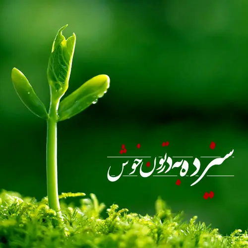 پیام تبریک سیزده بدر چی بفرستیم؟ | لیست پیام تبریک سیزده بدر