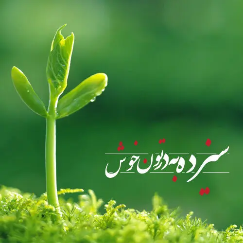 پیام تبریک سیزده بدر ۱۴۰۵ چی بفرستیم؟ | لیست پیام تبریک سیزده بدر