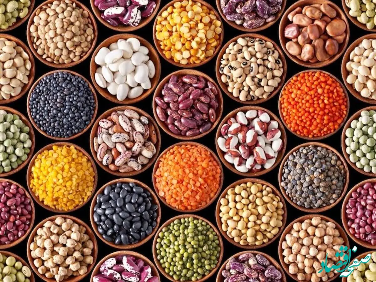 اعلام جدیدترین قیمت حبوبات فله امروز یکشنبه ۲۸ اردیبهشت ۱۴۰۴ |  لوبیاچیتی همچنان می‌تازد