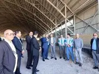 بازدید سمیعی‌نژاد از طرح تولید آلومینا از نفلین سینیت سراب/تأکید بر هم‌افزایی برای رفع موانع پیشرفت پروژه