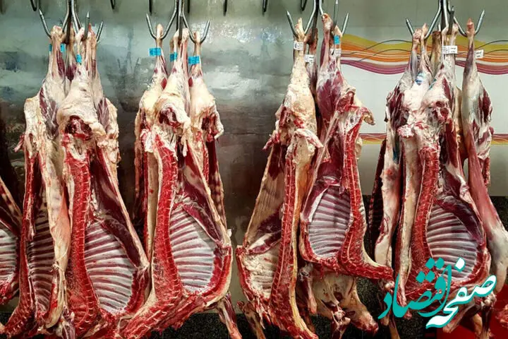 قیمت گوشت گوسفندی و گوساله امروز چهارشنبه ۲۳ اردیبهشت ماه ۱۴۰۵ + جدول