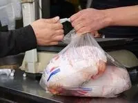 قیمت مرغ امروز چهارشنبه ۲۳ اردیبهشت ماه ۱۴۰۵ چقدر شد؟ 