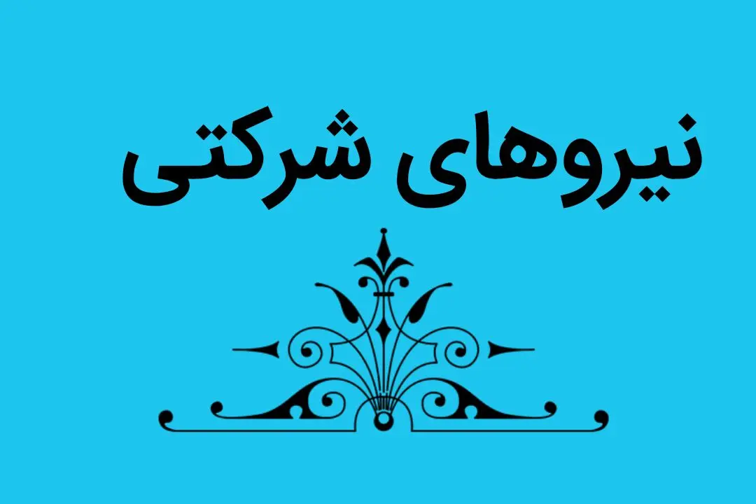 خبر فوری از تغییرات نهایی وضعیت طرح ساماندهی کارکنان دولت امروز شنبه ۲۳ دی ۱۴۰۲ 