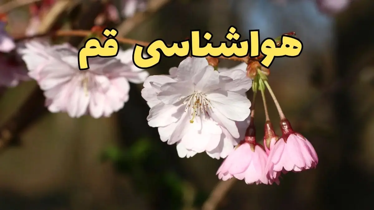 پیش بینی هواشناسی قم ۲۴ ساعت آینده | وضعیت آب و هوا قم فردا سه شنبه ۱۲ فروردین ماه ۱۴۰۴ | آب و هوای قم در روز ۱۳ بدر 