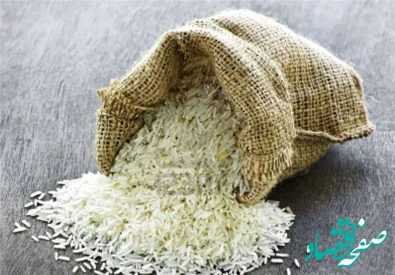 خبر مهم و فوری/ واردات ۶۰هزار تن برنج تقلبی