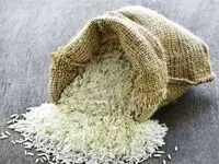 خبر مهم و فوری/ واردات ۶۰هزار تن برنج تقلبی