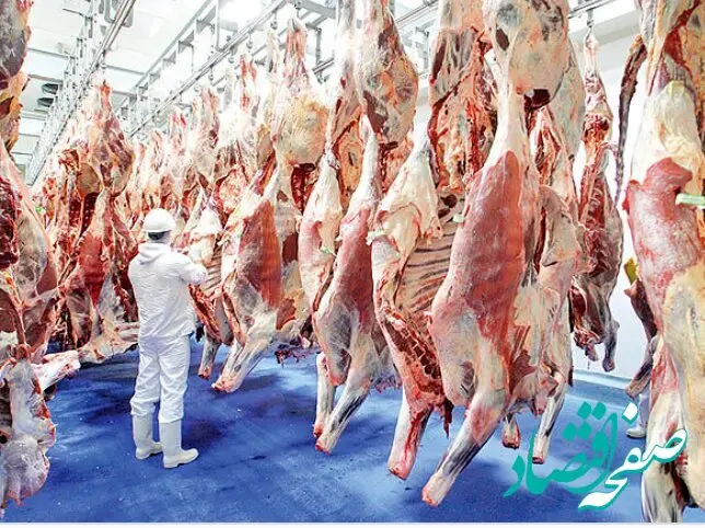 یک کیلوگرم راسته گوسفندی چند؟ | قیمت جدید گوشت قرمز دولتی | جدول قیمت
