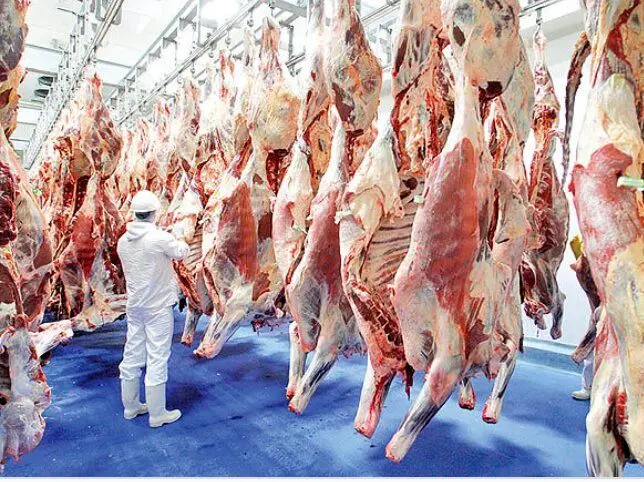 یک کیلوگرم راسته گوسفندی چند؟ | قیمت جدید گوشت قرمز دولتی | جدول قیمت