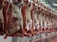 قیمت گوشت در بازار ریخت؟