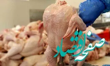 در این مکان مرغ را ۱۸ درصد ارزان‌تر بخرید/ جزییات
