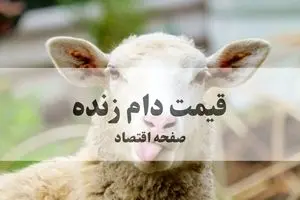 آخرین قیمت دام زنده امروز چهارشنبه ۷ آبان ماه ۱۴۰۴