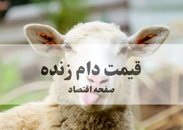 بروزترین قیمت دام زنده امروز پنجشنبه ۲۷ شهریور ۱۴۰۴ + قیمت روز دام زنده | قیمت گوسفند الان چند؟ 