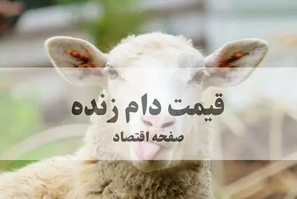 جدول قیمت دام زنده امروز پنجشنبه ۲ مهر اعلام شد