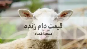 قیمت دام زنده در ماه محرم امروز جمعه ۲۹ خرداد ۱۴۰۵ | گوسفند ارزان شد؟ 