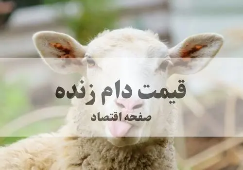 قیمت دام زنده امروز سه‌ شنبه ۱۴ مهر + جدول