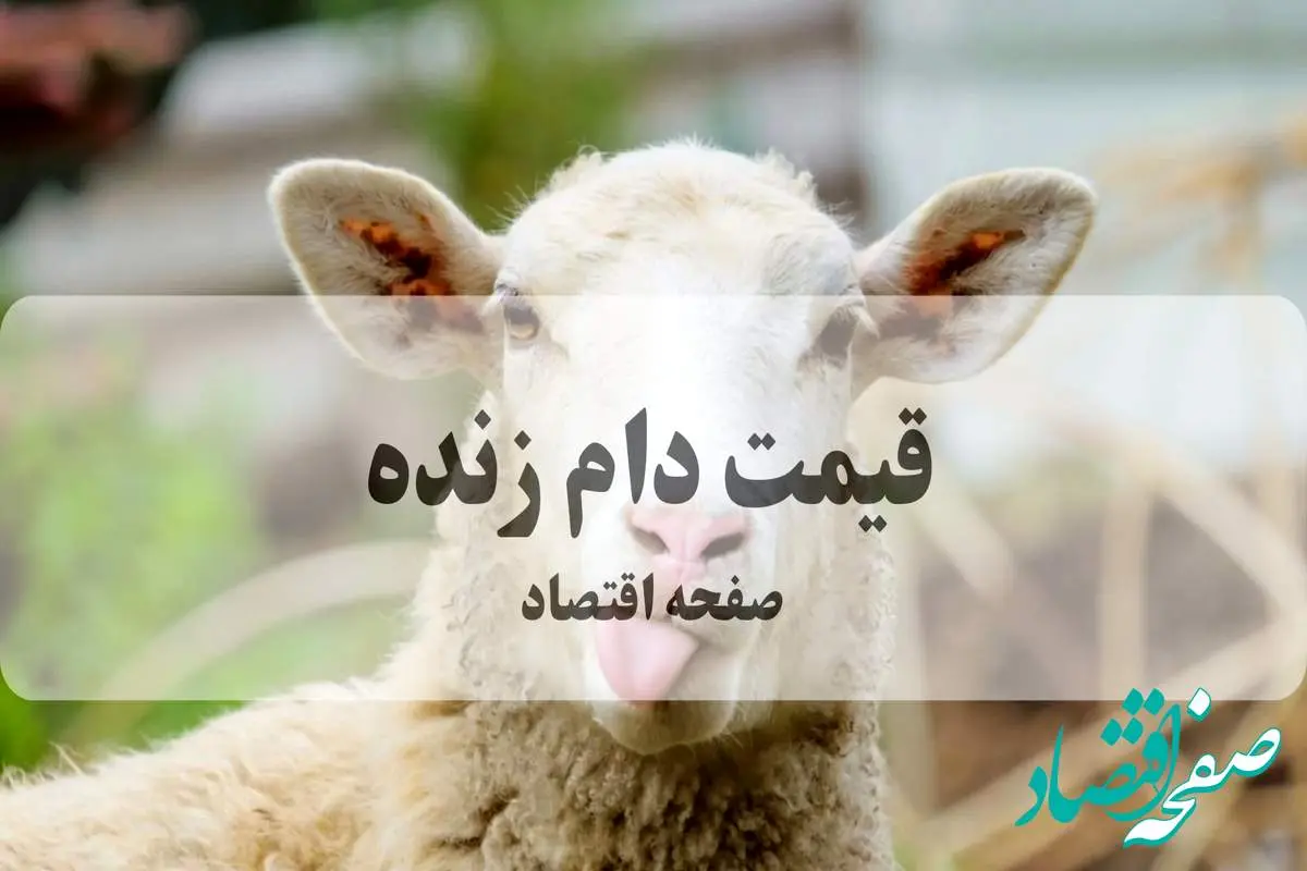 بروزترین قیمت دام زنده امروز پنجشنبه ۲۷ شهریور ۱۴۰۴ + قیمت روز دام زنده | قیمت گوسفند الان چند؟ 
