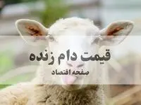 قیمت دام زنده امروز سه‌ شنبه ۷ بهمن ۱۴۰۴ + جدول