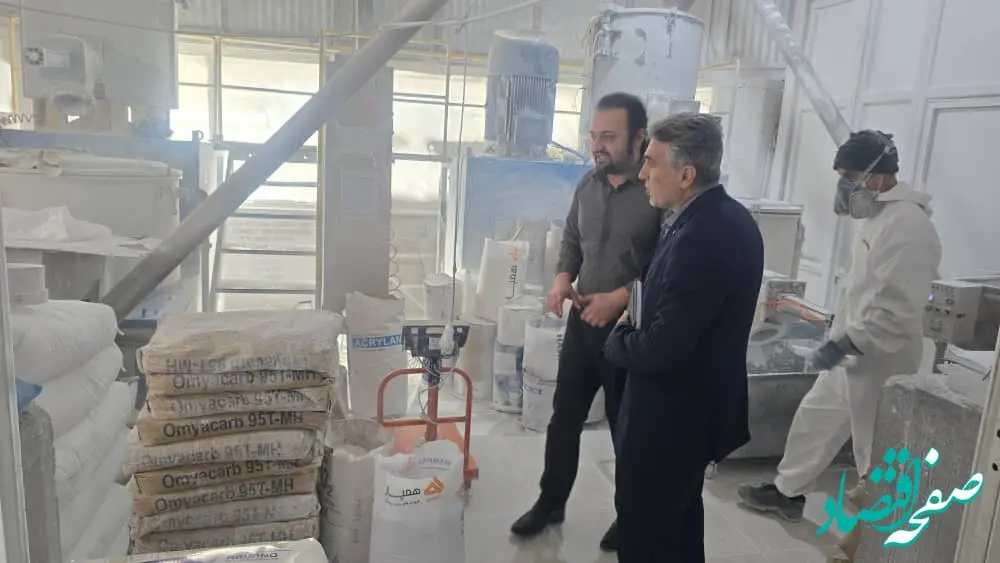 برنامه های حمایتی بانک توسعه صادرات ایران برای صنایع صادراتی استان اردبیل