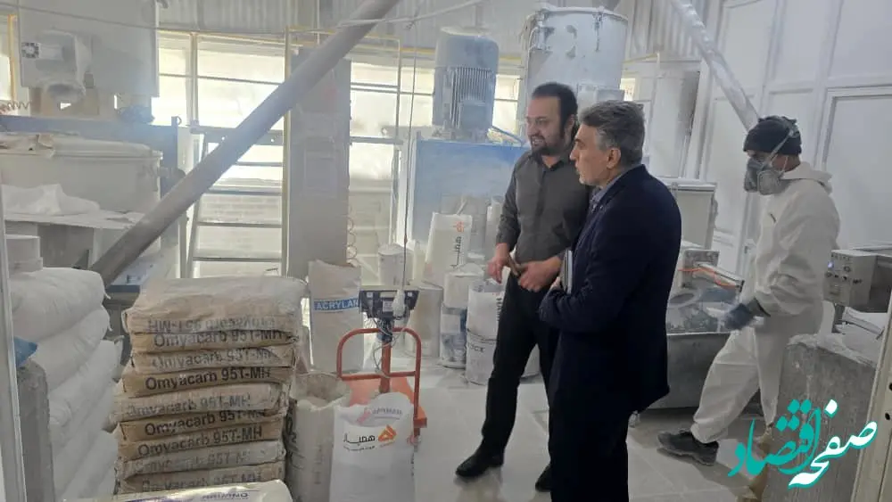 برنامه های حمایتی بانک توسعه صادرات ایران برای صنایع صادراتی استان اردبیل