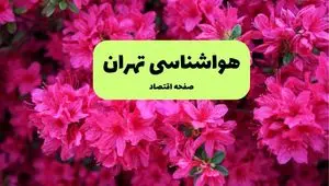 هواشناسی تهران ۲۴ ساعت آینده | پیش بینی وضعیت آب و هوا تهران فردا یکشنبه ۲۵ خرداد ماه ۱۴۰۴ 
