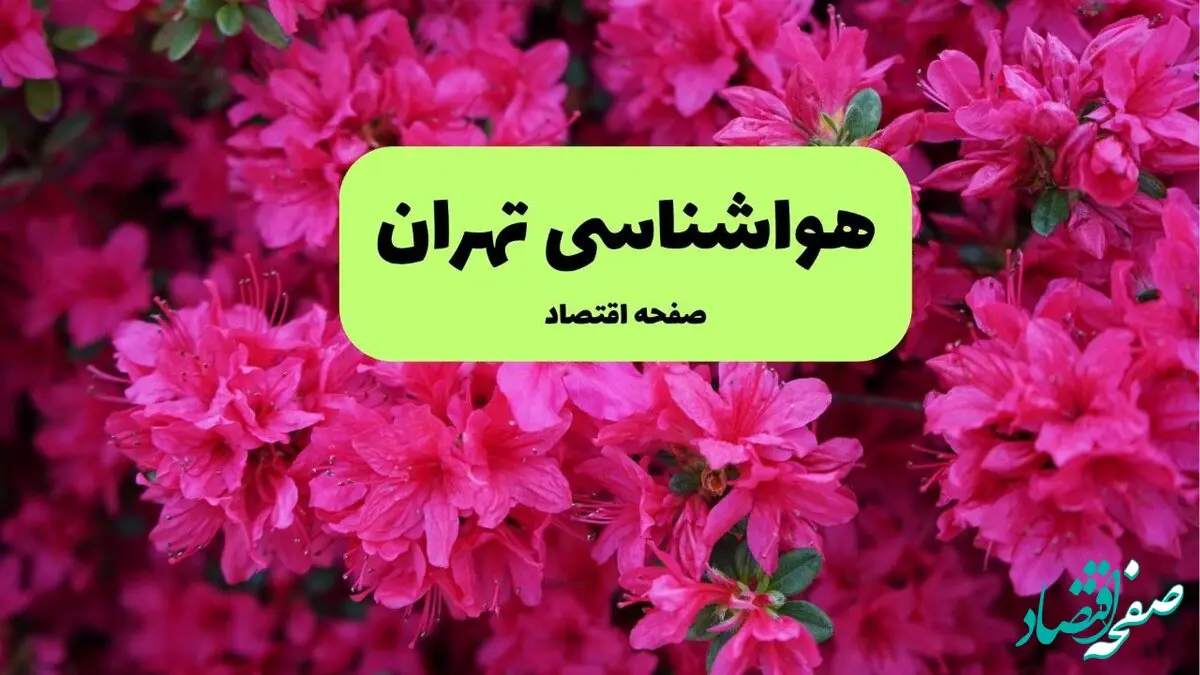 هواشناسی تهران ۲۴ ساعت آینده اعلام شد | پیش بینی وضعیت آب و هوا تهران فردا دوشنبه ۱۹ خرداد ماه ۱۴۰۴ 