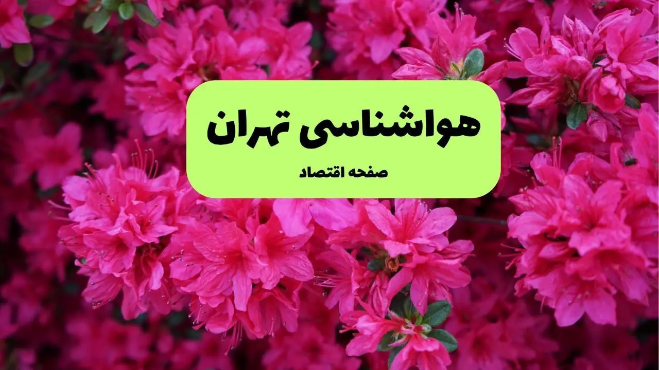 هواشناسی تهران ۲۴ ساعت آینده | پیش بینی وضعیت آب و هوا تهران فردا یکشنبه ۲۵ خرداد ماه ۱۴۰۴ 