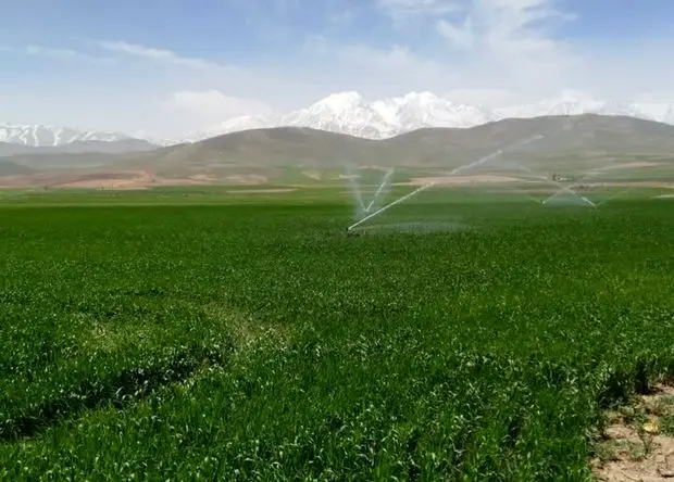 سهم آب بخش کشاورزی برای سال جدید چقدر است؟