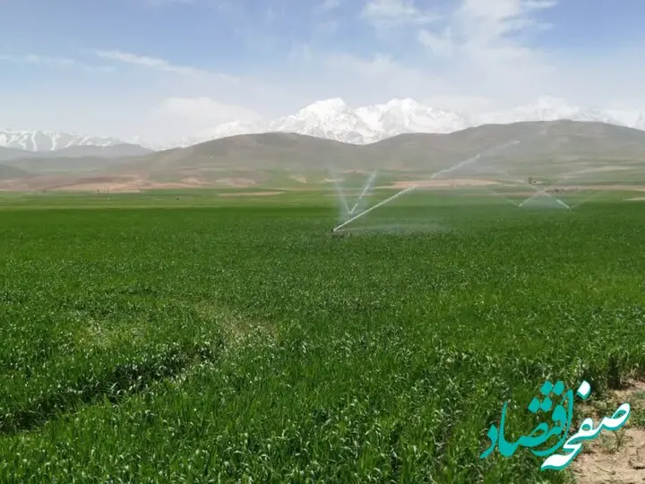 سهم آب بخش کشاورزی برای سال جدید چقدر است؟