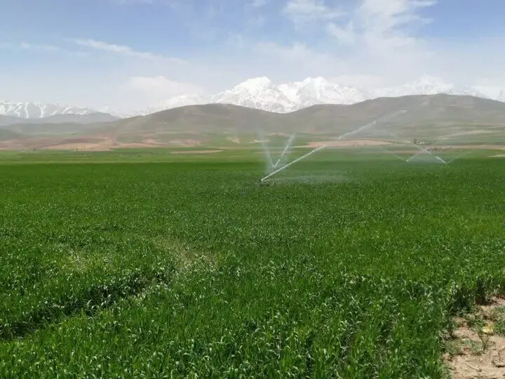 سهم آب بخش کشاورزی برای سال جدید چقدر است؟