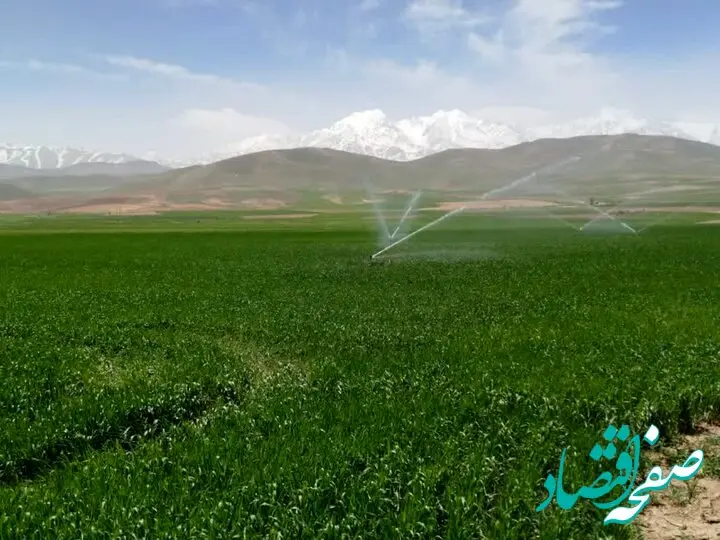 سهم آب بخش کشاورزی برای سال جدید چقدر است؟