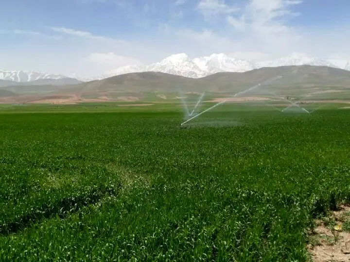 سهم آب بخش کشاورزی برای سال جدید چقدر است؟