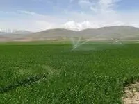 سهم آب بخش کشاورزی برای سال جدید چقدر است؟