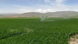سهم آب بخش کشاورزی برای سال جدید چقدر است؟