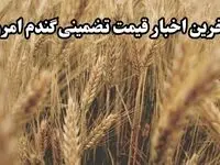 آخرین خبر از پرداخت مطالبات گندمکاران امروز دوشنبه ۱۲ خرداد ماه ۱۴۰۴ | از خرید تضمینی گندم چه خبر؟ 