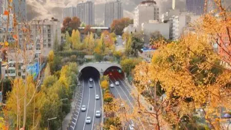 فهرست برترین جاهای دیدنی تهران برای پاییز خاطره‌انگیز