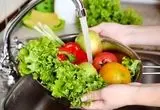 آلودگی پنهان در برگ‌های کاهو؛ تأکید لنکرانی بر شست‌وشوی دقیق سبزیجات