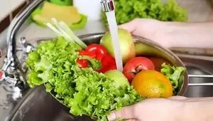 آلودگی پنهان در برگ‌های کاهو؛ تأکید لنکرانی بر شست‌وشوی دقیق سبزیجات