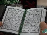 زیارت عاشورا با نوای علی فانی همراه با ترجمه