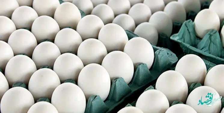 علت اختلاف قیمت زیاد تخم مرغ در خرده فروشی‌ها با نرخ مصوب چیست؟ 