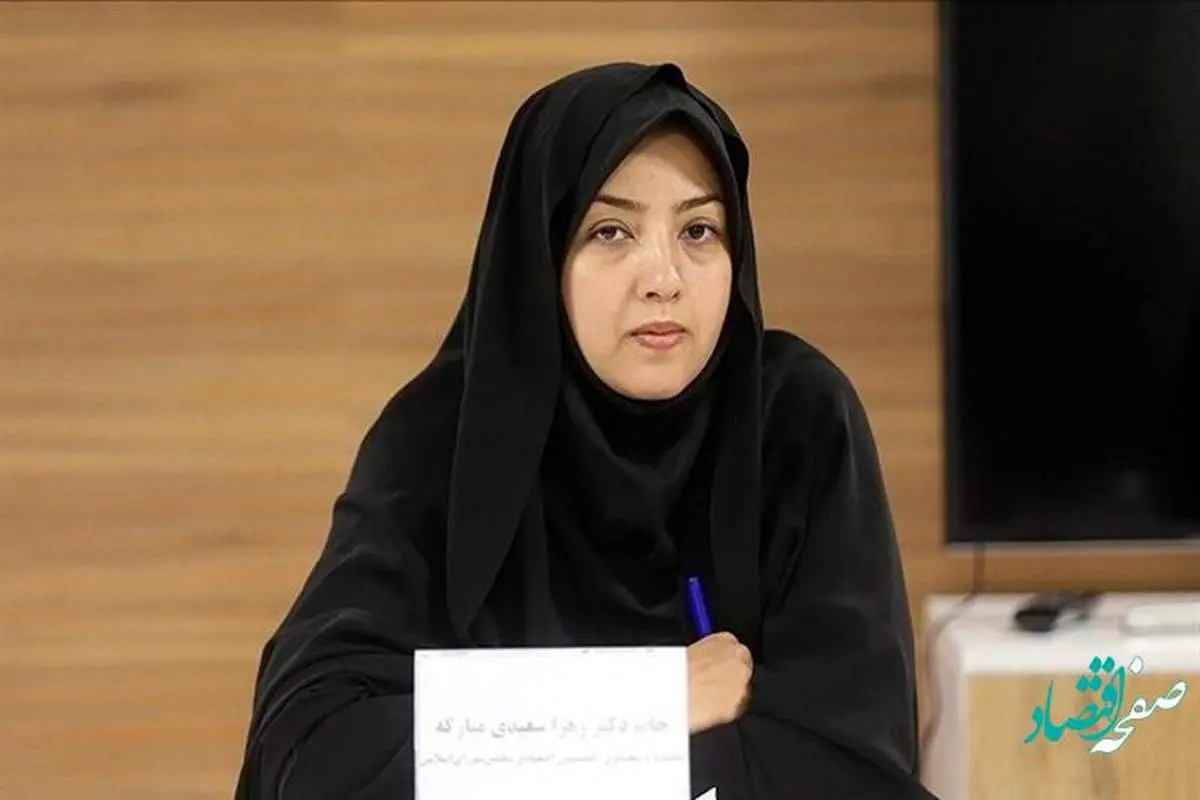 واکنش نماینده سابق مبارکه به گزارش تفحص از فولاد مبارکه اصفهان