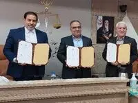 حل مشكل تلفات بالای رانندگی، نیازمند همكاری های فرا دستگاهی است