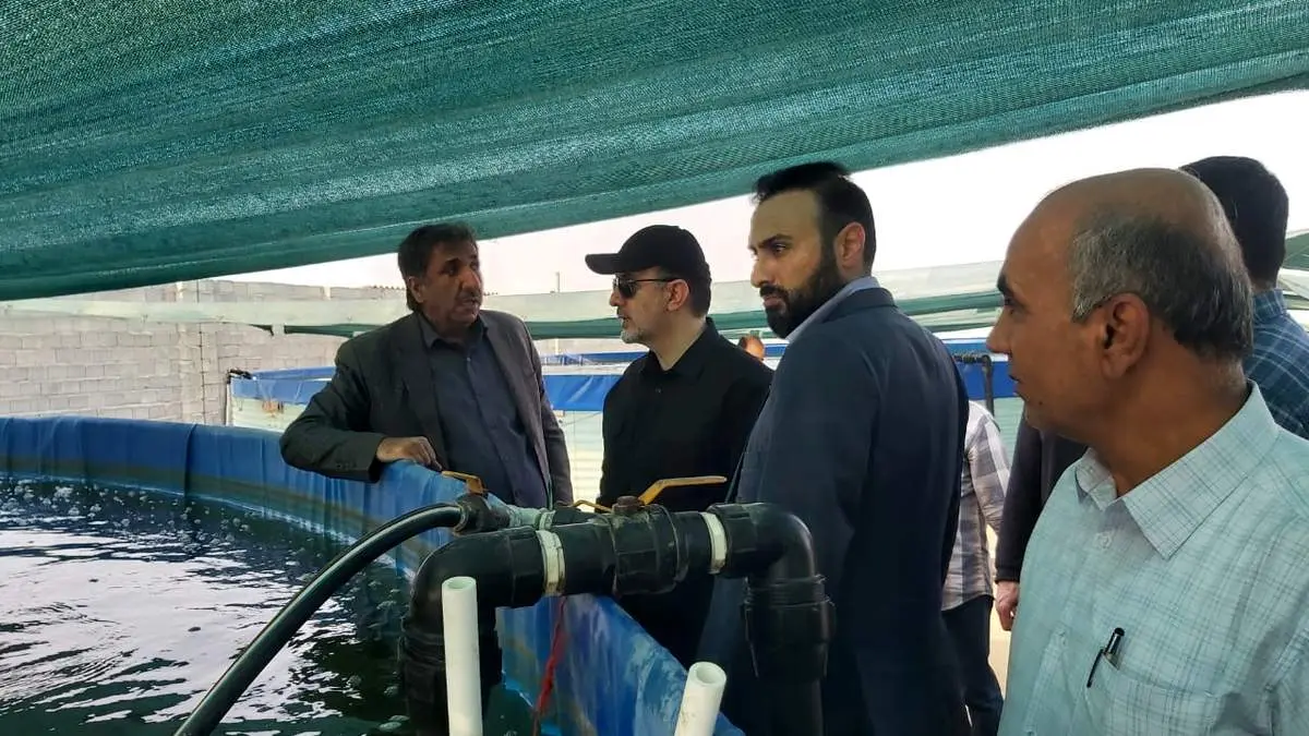 آغاز بهره برداری از شرکت پرورش میگو فوق متراکم کیان یزدان قشم