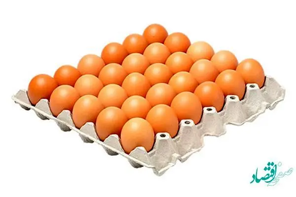 یک شانه تخم مرغ چند عدد است؟