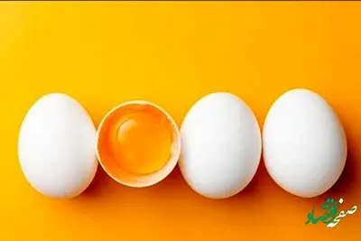 قیمت تخم مرغ نطفه دار + نکات مهم در خرید آن