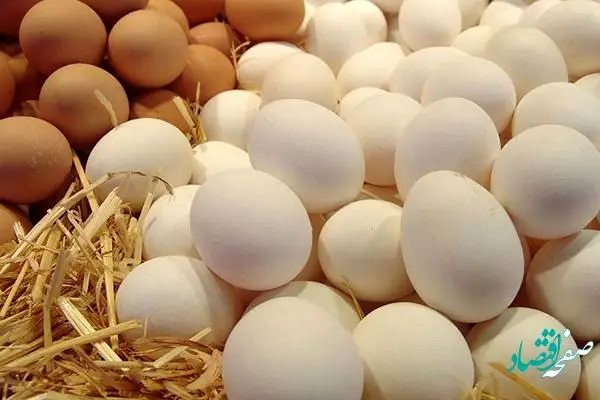 در هفته چند بار تخم مرغ بخوریم؟